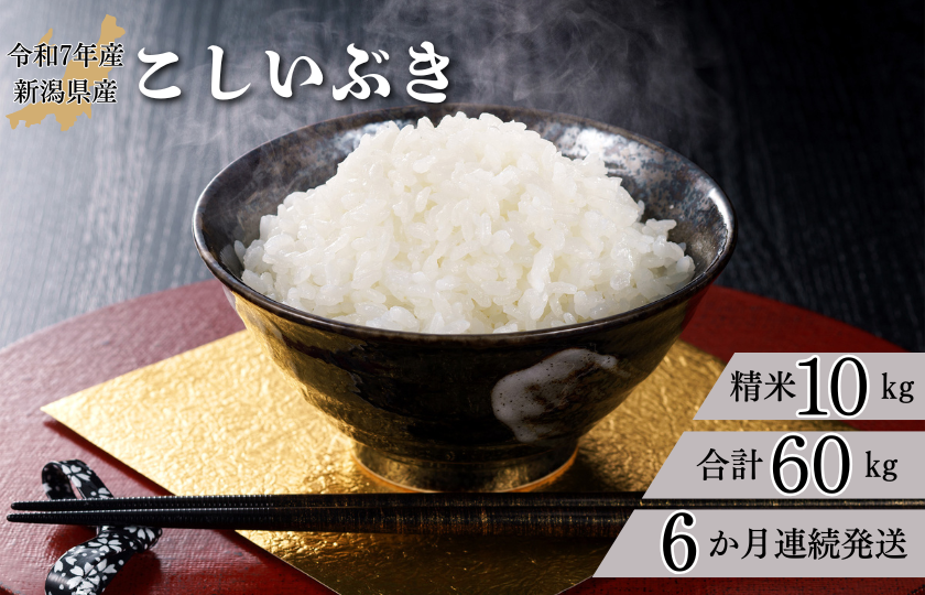 【6か月定期便】R7年産 新潟県産 こしいぶき 10kg （精米）