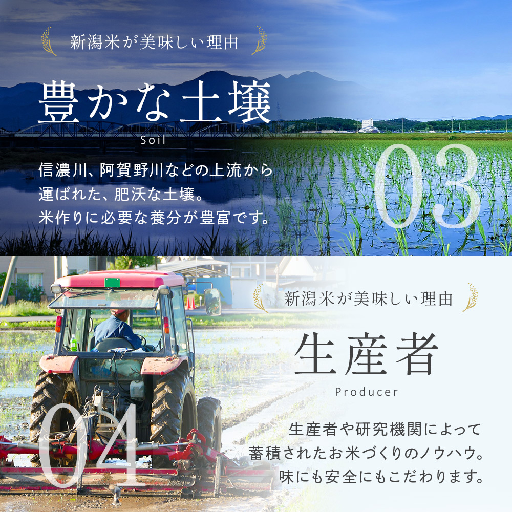 令和7年産 新潟産なんかん米こしいぶき 精米10kg