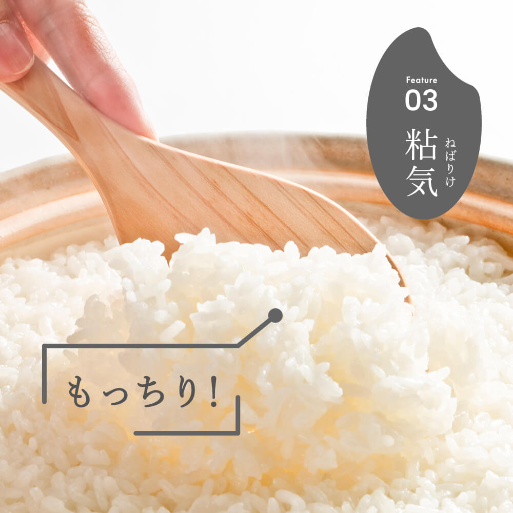 令和7年産 新潟県産 コシヒカリ 5kg 無洗米 新米 お米 白米 コシヒカリ こしひかり おすすめ 人気 こめ コメ 新潟 見附 見附市 7年 2025年産 ふるさと納税 諸長