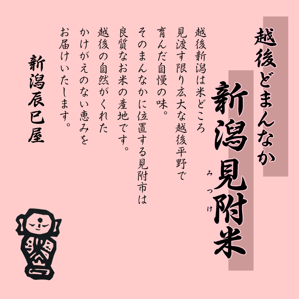 新潟コシヒカリ 令和7年産 精米3kg