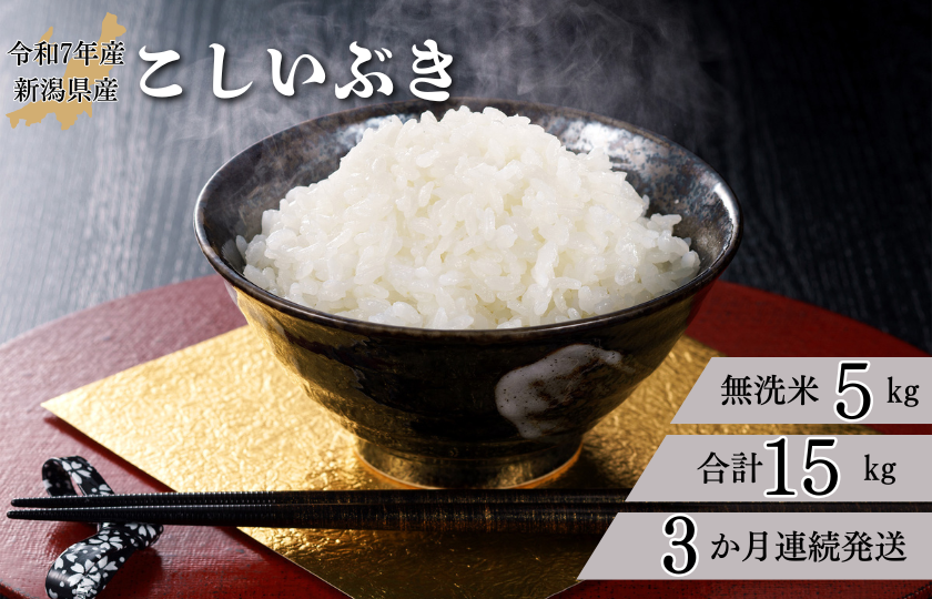 【3か月定期便】R7年産 新潟県産 こしいぶき 5kg （無洗米）