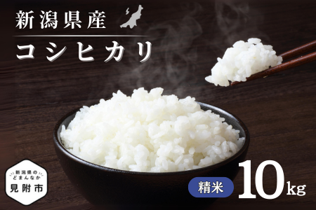令和7年産 新潟県産 コシヒカリ 10kg 精米 新米 お米 白米 コシヒカリ こしひかり おすすめ 人気 こめ コメ 新潟 見附 見附市 7年 2025年産 ふるさと納税 諸長
