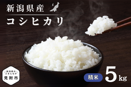 令和7年産 新潟県産 コシヒカリ 5kg 精米 新米 お米 白米 コシヒカリ こしひかり おすすめ 人気 こめ コメ 新潟 見附 見附市 7年 2025年産 ふるさと納税 諸長