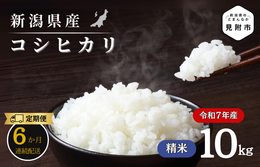 【6か月定期便】R7年産 新潟県産 コシヒカリ 10kg （精米）新米 お米 白米 コシヒカリ こしひかり おすすめ 人気 こめ コメ 新潟 見附 見附市 7年 2025年産 ふるさと納税 諸長