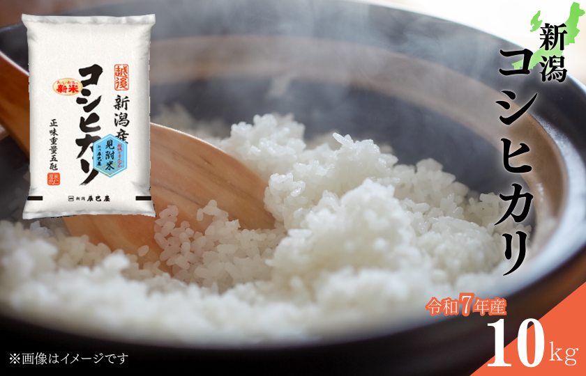 新潟コシヒカリ 令和7年産 精米10kg