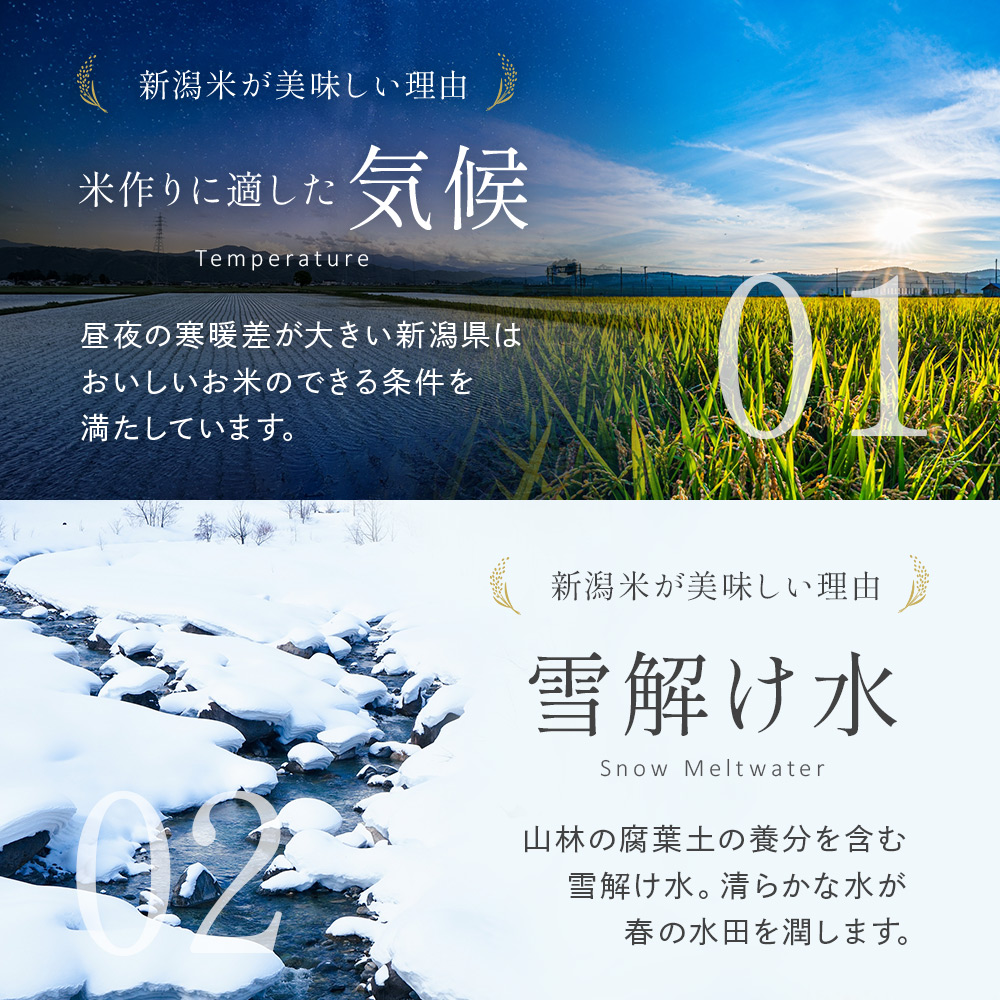 令和7年産 新潟産なんかん米こしいぶき 精米10kg