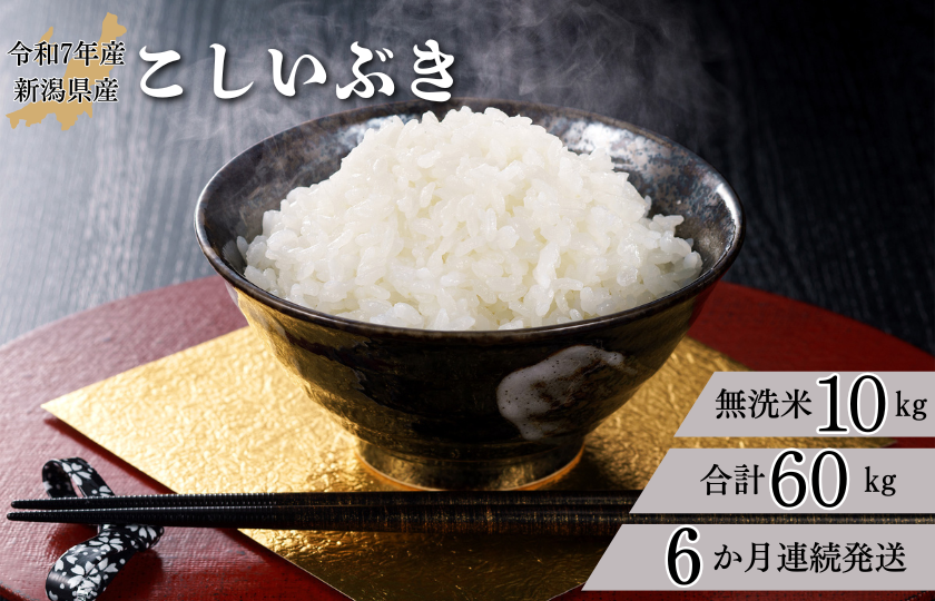 【6か月定期便】R7年産 新潟県産 こしいぶき 10kg （無洗米）