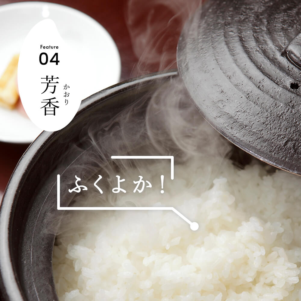 令和7年産 新潟県産 コシヒカリ 10kg 無洗米 新米 お米 白米 コシヒカリ こしひかり おすすめ 人気 こめ コメ 新潟 見附 見附市 7年 2025年産 ふるさと納税 諸長