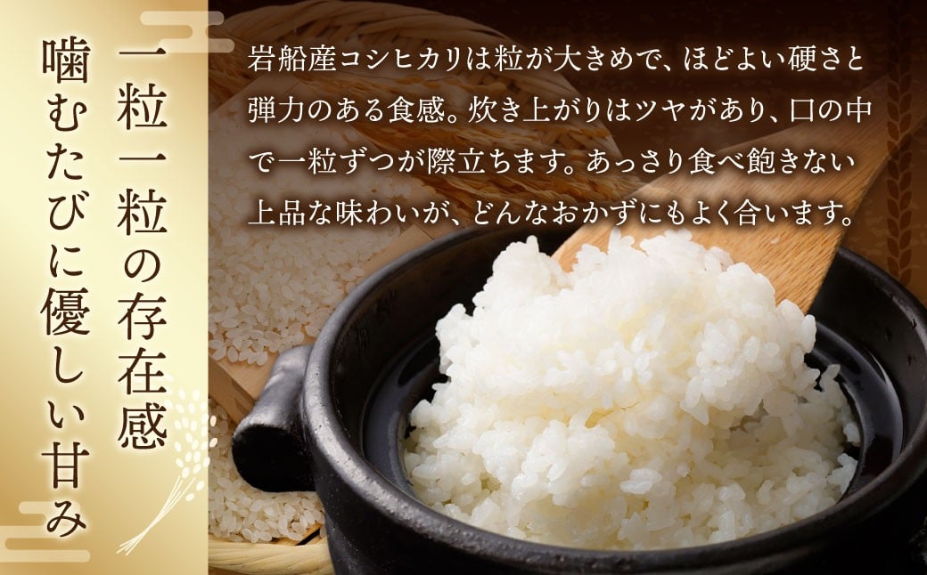 ãæ°ç±³åä»ã»ä»€å8幎ç£ç±³ãæ°æœçæäžåžå²©è¹ç£ã岩è¹ç£ã³ã·ãã«ãª10kgïŒ5kgÃ2è¢ïŒã1102002N