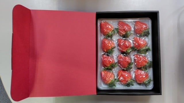 【数量限定】大粒いちご「越後姫」贈答用 12～15粒 約450g　1081005