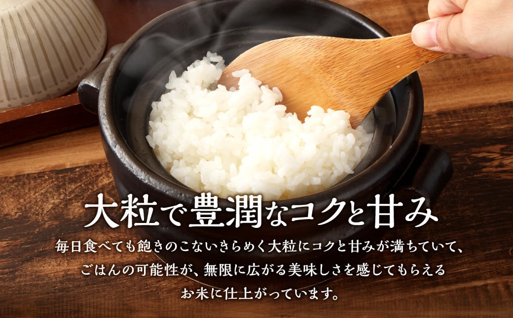 【新米受付・令和8年産米】空舞米 新潟県村上市岩船産 新之助 精米 8kg （2kg×4袋）1063003N