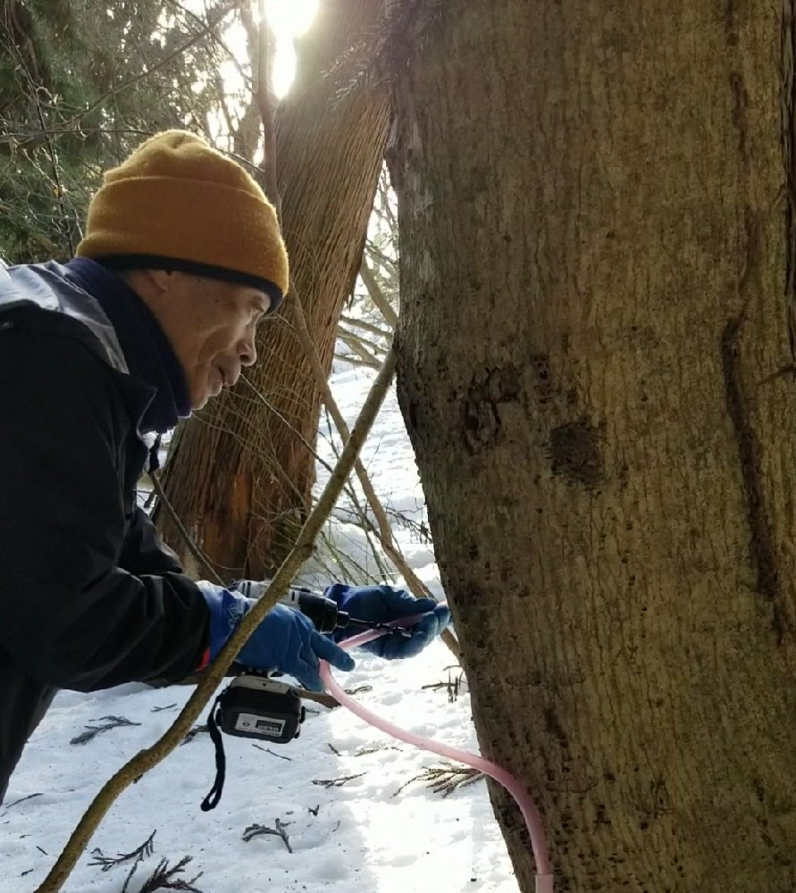 繝。繝シ繝励Ν繧オ繝繝励後°縺医〒縺ョ螳晉浹縲500mlテ2譛ャ繧サ繝繝医1093001縲