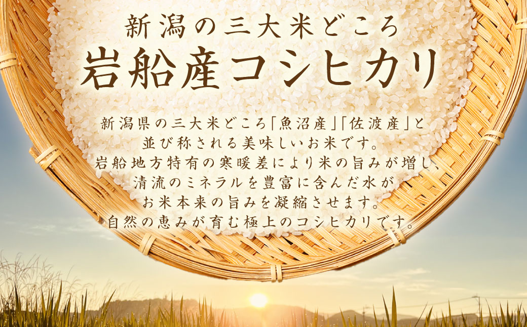 【令和7年産米】新潟県村上市岩船産 コシヒカリ6kg（2kg×3袋）1099004