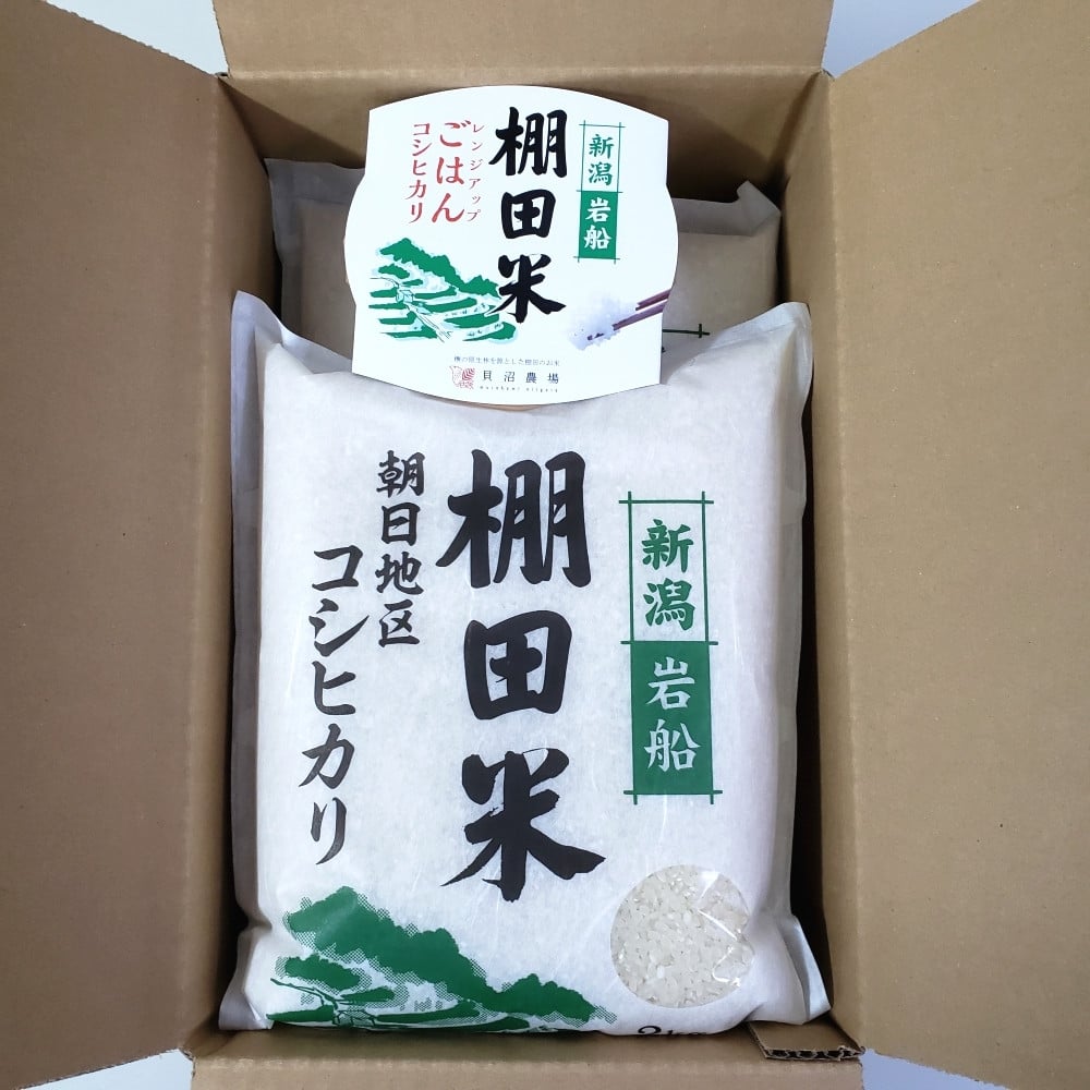 【令和6年産米】【定期便：2ヶ月連続でお届け】新潟県岩船産 棚田米コシヒカリ 4kg（2kg×2袋）+パックごはん(150ｇ×1個) ×2ヶ月 1067085