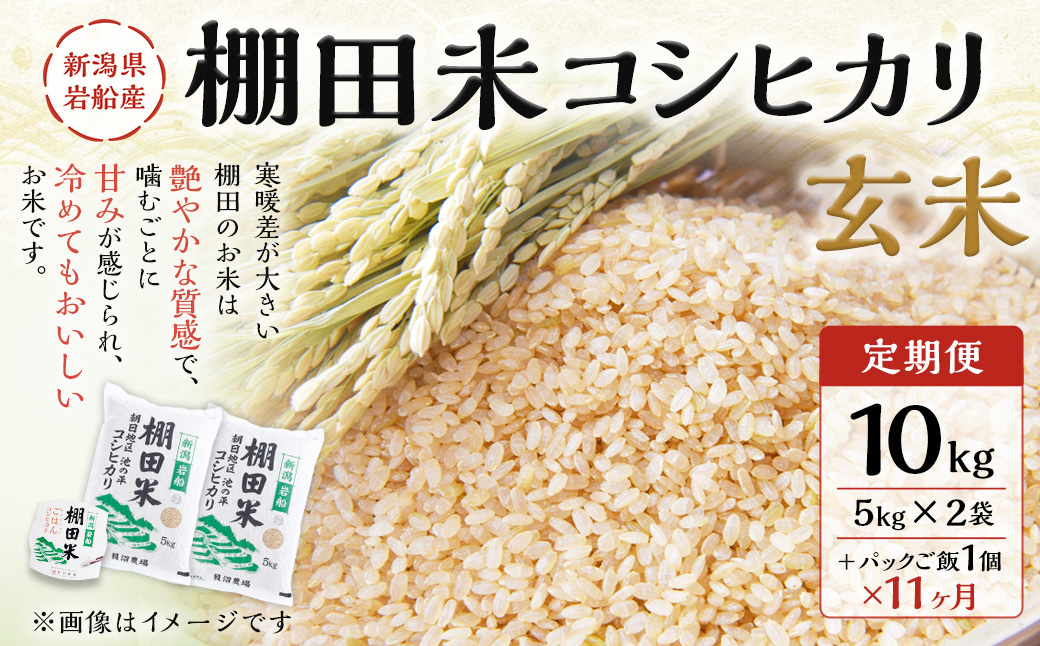 【定期便：11ヶ月連続でお届け】【令和6年産米】新潟県岩船産 棚田米コシヒカリ 玄米10kg ＋ 棚田米コシヒカリのパックごはん(150g×1個)×11ヶ月 1067046