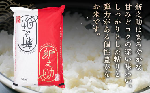 【新米受付・令和6年産米】 村上市産 新之助 5kg 1027009N