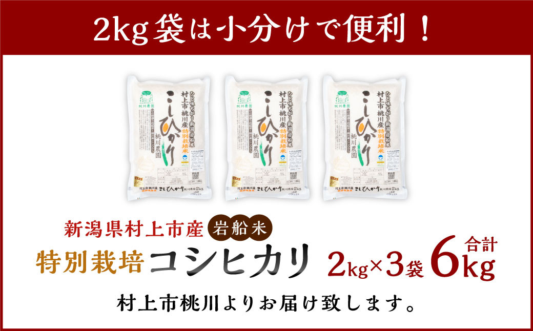 【新米受付・令和8年産米】新潟県村上市桃川産  特別栽培 コシヒカリ 6kg（2kg×3袋）NA4209