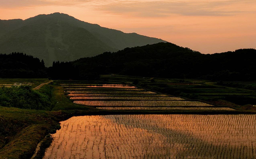 【定期便：3ヶ月連続でお届け】【令和7年産米】新潟県村上市岩船産 棚田米コシヒカリ 12kg+パックごはん(150g×1個)×3ヶ月 1067118