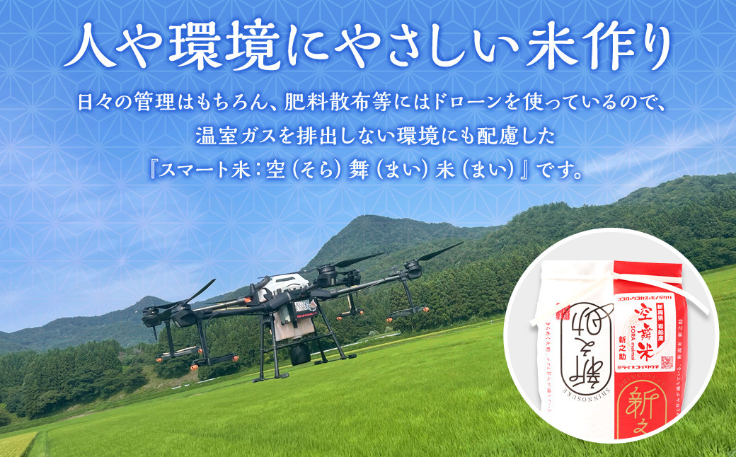 【令和6年産米】空舞米 岩船産 新之助精米10kg 1063004