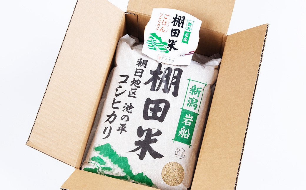 【定期便：3ヶ月連続でお届け】【令和6年産米】新潟県岩船産 棚田米コシヒカリ 玄米10kg ＋ 棚田米コシヒカリのパックごはん(150g×1個)×3ヶ月 1067038