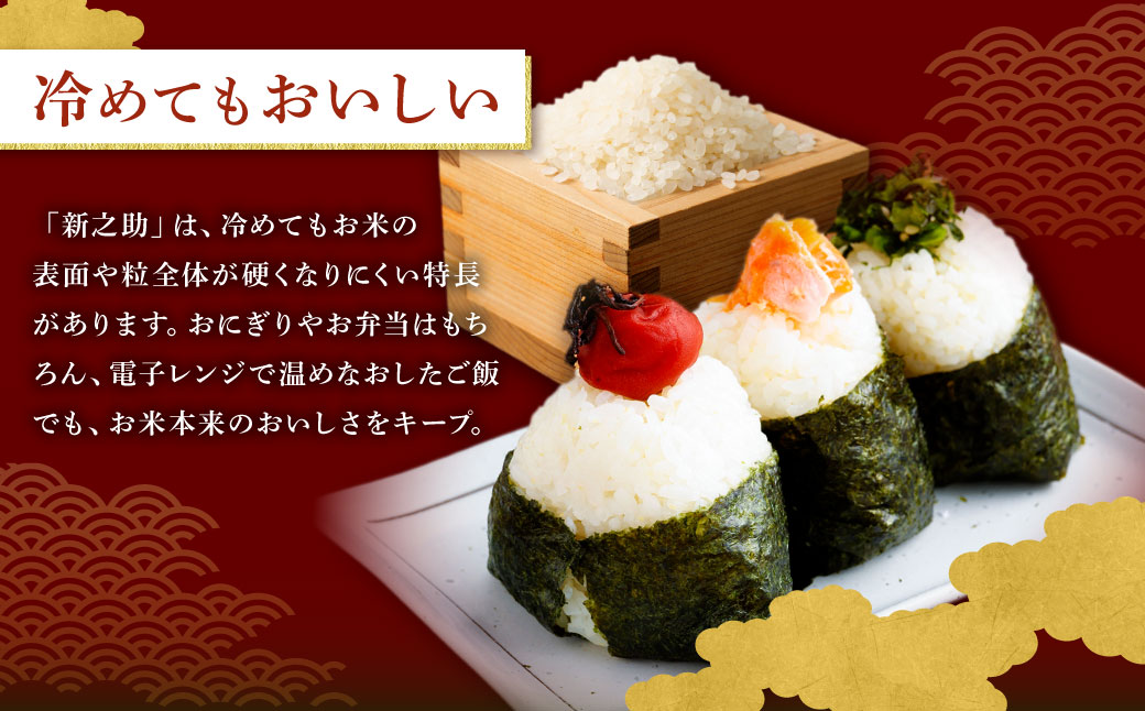 【令和7年産米】新潟県村上市岩船産 新之助6kg（2kg×3袋）1099003