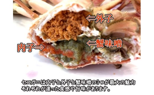 【11月～2月発送】【訳あり】本ズワイガニ夫婦セット 約3kg （雄 約2kg＋セコガニ（雌）約1kg）新潟県村上市寝屋漁港産 1079003