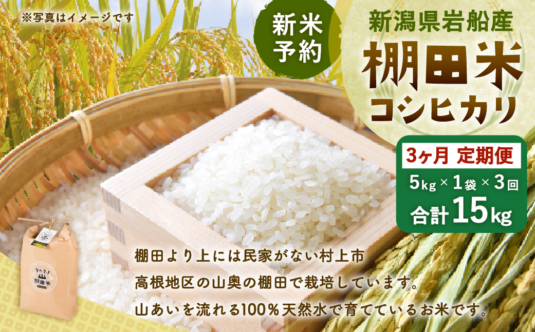 【新米受付・令和8年産米】【定期便：3ヶ月連続でお届け】新潟県村上市岩船産 棚田米コシヒカリ 5kg×3ヶ月　1011003N