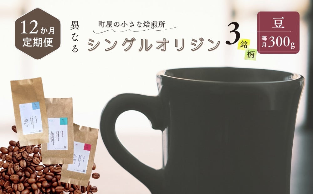 【定期便：3ヶ月連続でお届け】シングルオリジンコーヒー 100g × 3品種（豆）計300g×3ヶ月 1075021 コーヒー 珈琲 コーヒー豆