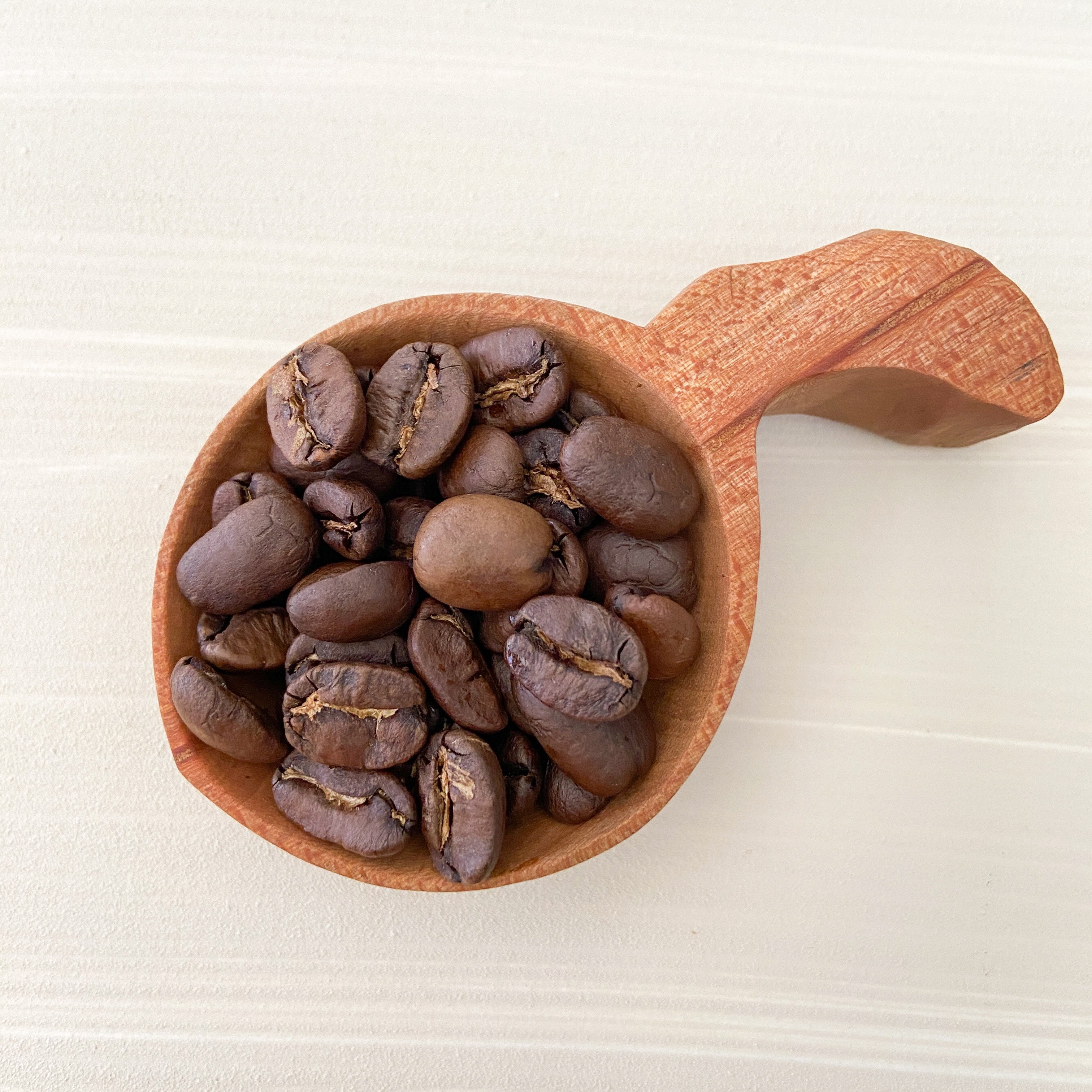 高品質 シングルオリジン コーヒー 飲み比べ 2種×各100g 【コーヒー豆】A4223