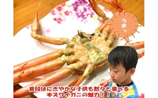 【11月～2月発送】【訳あり】本ズワイガニ　約2kg（2～6尾入）新潟県村上市寝屋漁港産 1079001