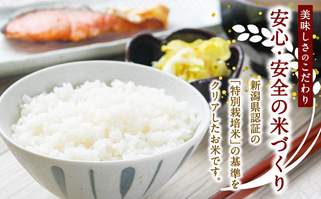 【令和7年産米】特別栽培米 新潟県岩船産 コシヒカリ 60kg（5kg×12ヶ月コース） 定期便  毎月 お米  白米 こしひかり 精米 村上市 1013013
