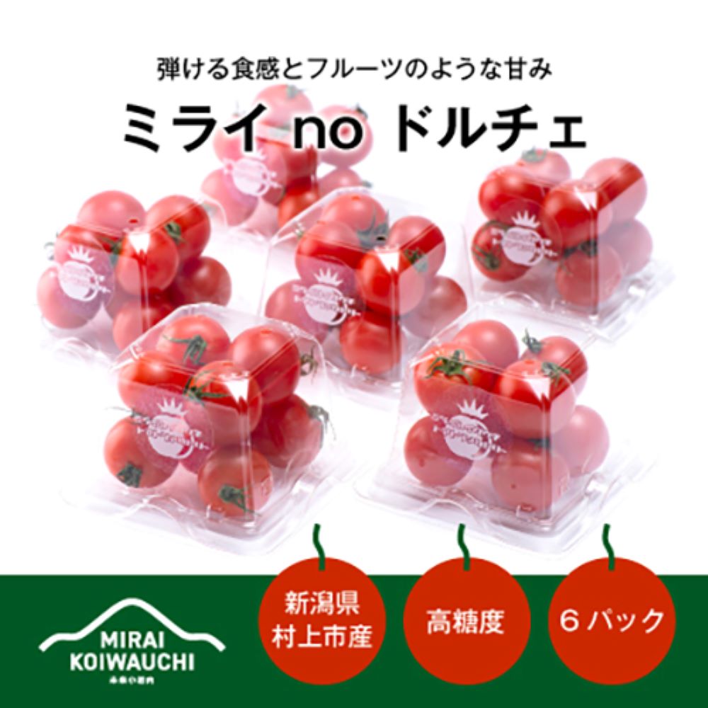 [数量・期間限定]『ミライ no ドルチェ』 新潟県村上産ミニトマト