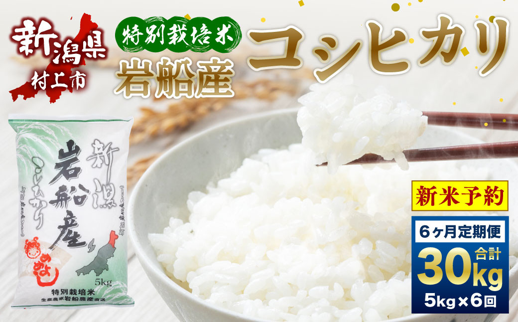 【新米受付・令和6年産米】ND4036 特別栽培米　新潟県岩船産コシヒカリ30kg（5kg×6ヶ月コース）