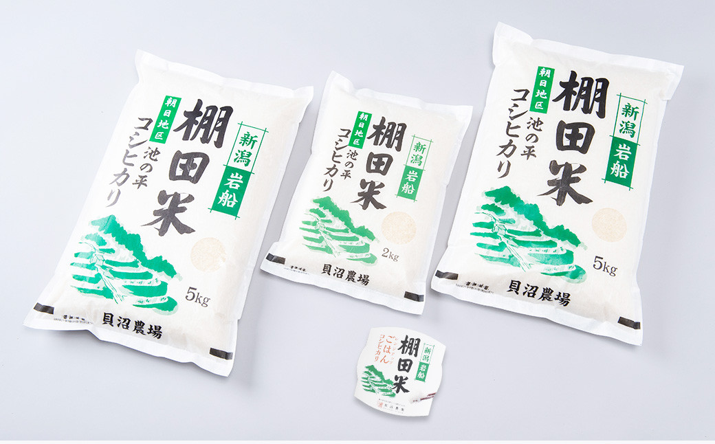 【定期便：10ヶ月連続でお届け】【令和6年産米】新潟県岩船産 棚田米コシヒカリ 12kg+パックごはん(150g×1個)×10ヶ月 F4028