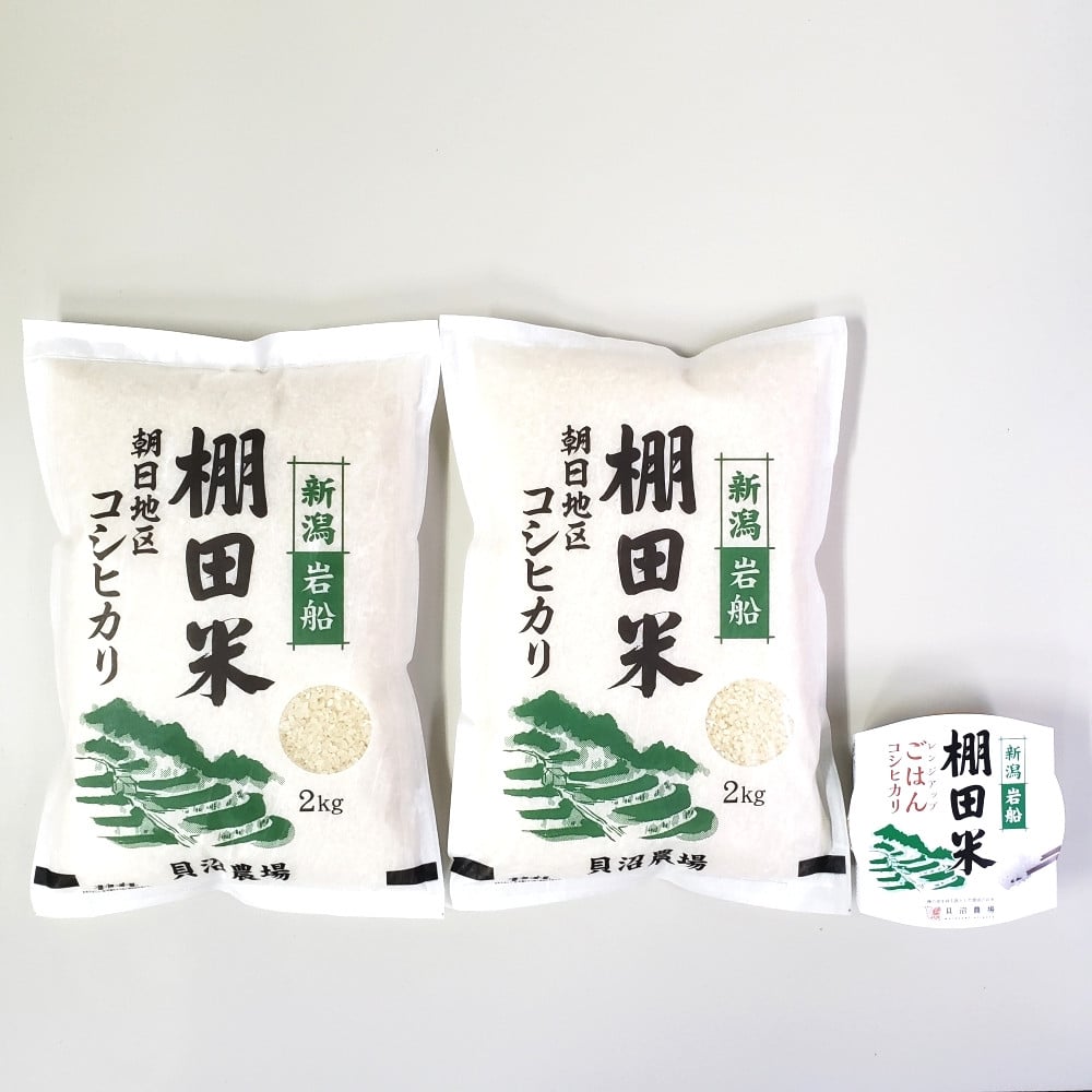 【令和7年産米】【12ヶ月定期便】新潟県村上市岩船産 棚田米コシヒカリ 4kg（2kg×2袋）+パックごはん(150g×1個) ×12ヶ月 1067146