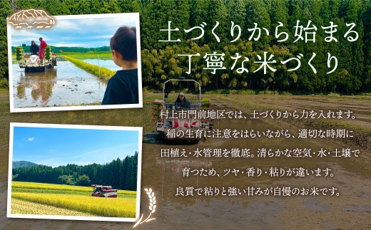 【新米受付・令和8年産米】【定期便：3ヶ月お届け】新潟県村上市　岩船産コシヒカリ6kg（2kg×３袋）×3ヶ月　合計18kg　1103002N