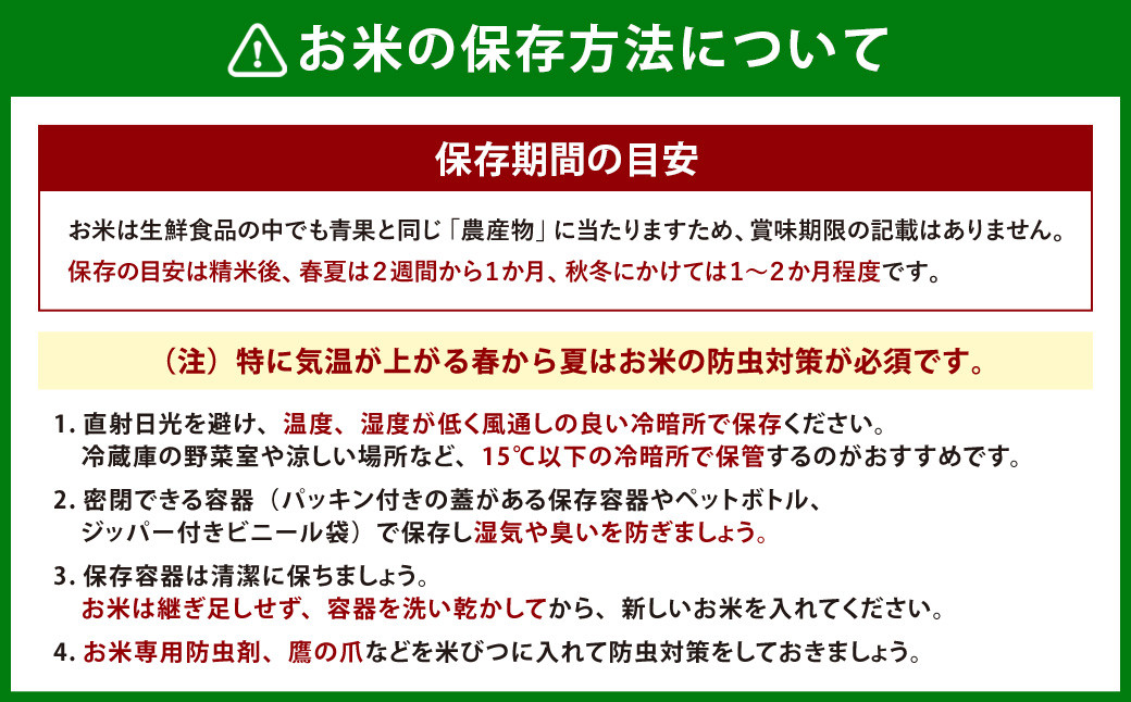  【定期便：11ヶ月連続でお届け】【令和6年産米】岩船産 棚田米コシヒカリ 6kg（2kg×3袋）＋ 棚田米コシヒカリのパックごはん(150g×1個)×11ヶ月 1067011