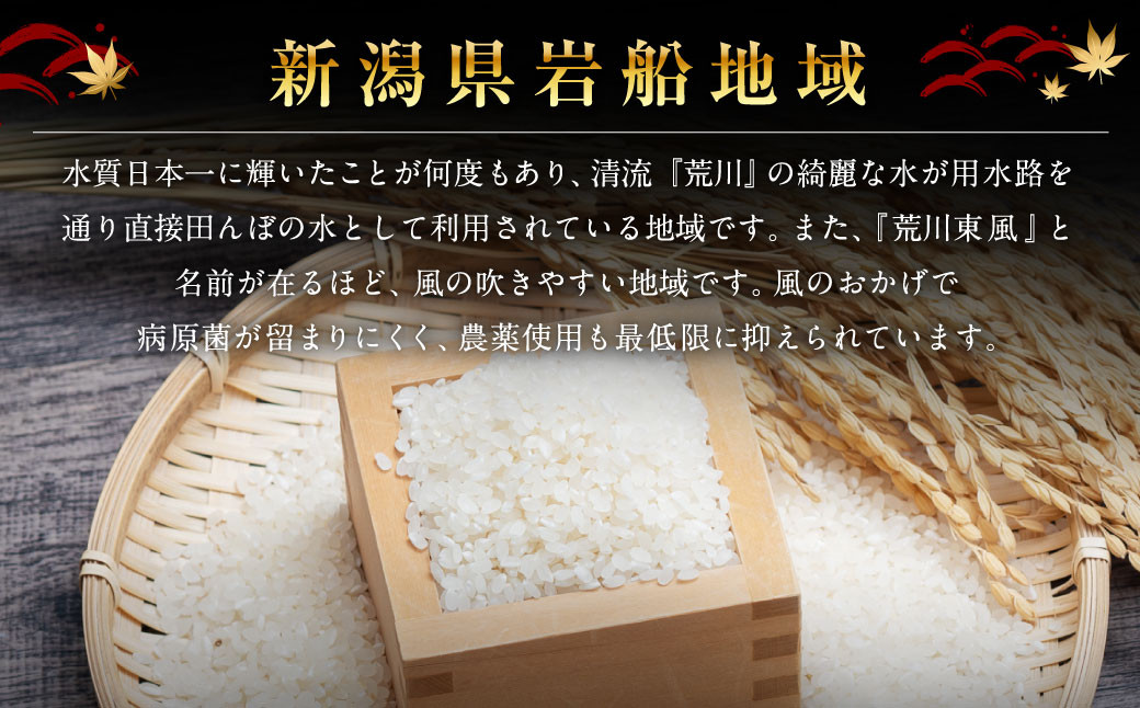 【新米受付・令和6年産米】NA4091 新潟県岩船産コシヒカリ 精米2kg×3個セット