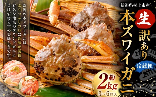 【1月～3月発送】【訳あり】冷蔵便　生本ズワイガニ　約2kg（3～6尾入）1079004