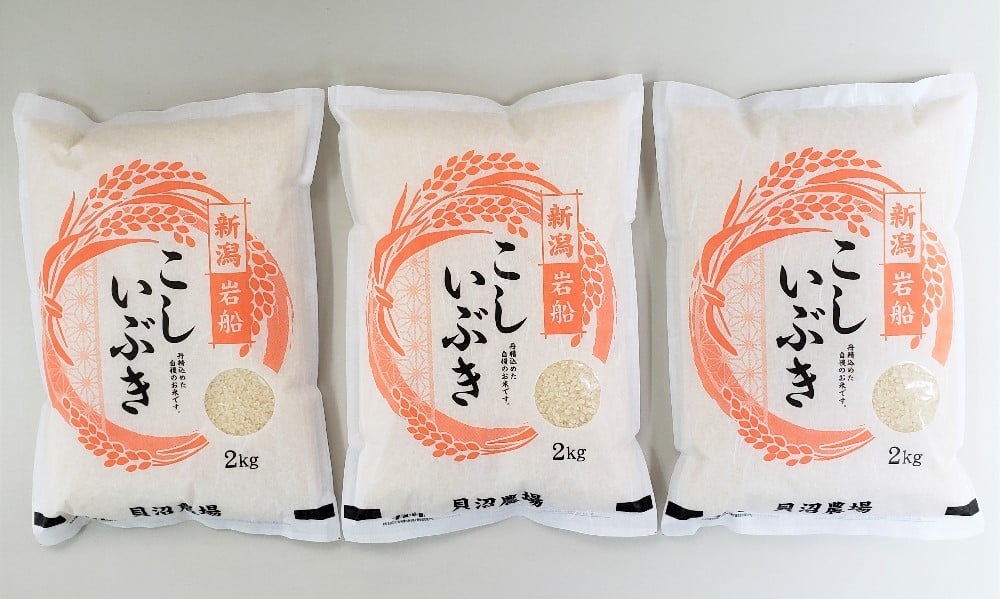【令和7年産米】 こしいぶき 白米6kg（2kg×3） 新潟県村上市岩船産　1067102