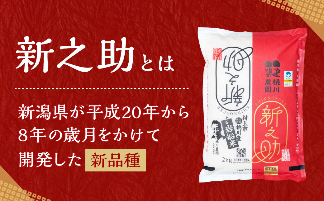 【新米受付・令和6年産米】 NAB4037 村上市桃川産 特別栽培米  新之助8kg