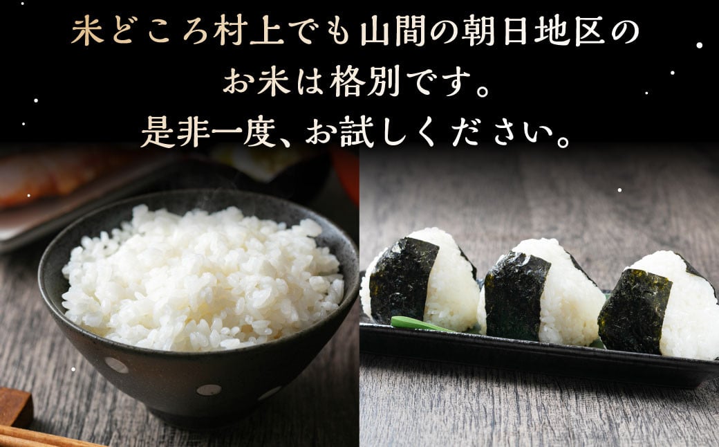 【令和6年産米】【定期便：6ヶ月連続でお届け】 村上市産 新之助 72kg （12kg×6ヶ月）コース 1027013