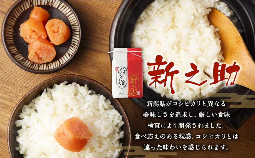 【新米受付・令和8年産米】 【定期便 12ヶ月】新潟県村上市岩船産　新之助　精米6kg（2kg×3個セット）×12ヶ月 1050016N