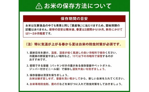 【新米受付・令和8年産米】【定期便：3ヶ月お届け】新潟県村上市　岩船産コシヒカリ6kg（2kg×３袋）×3ヶ月　合計18kg　1103002N