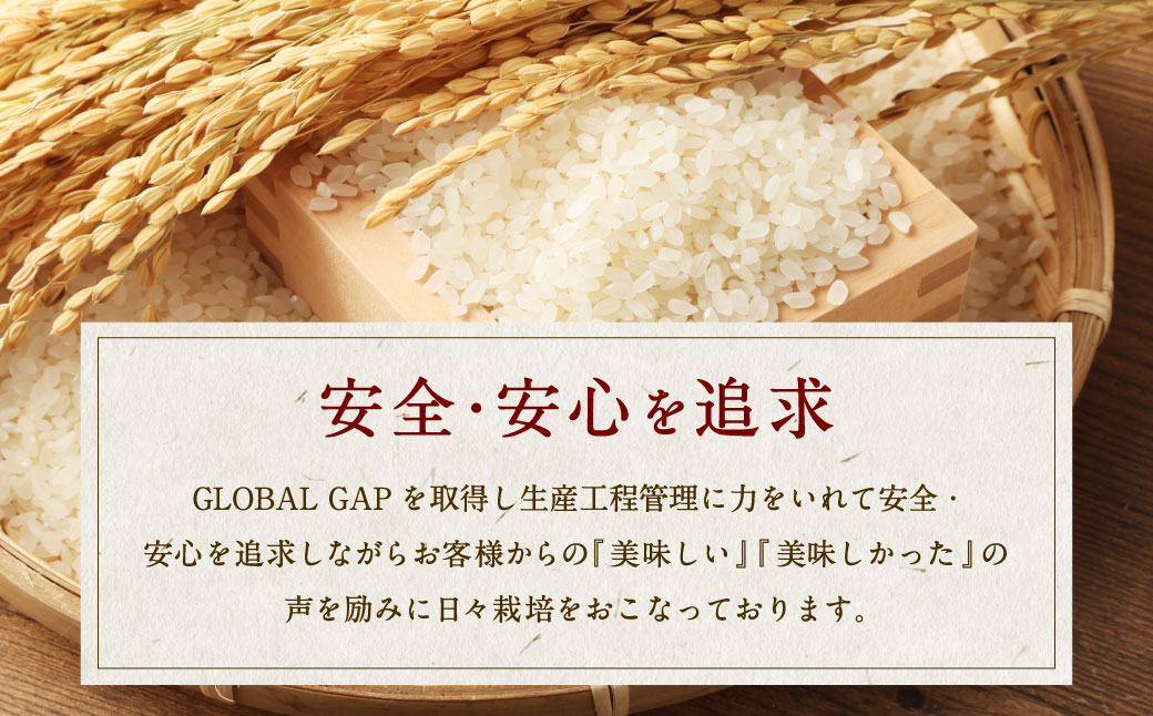 【新米受付・令和6年産米】NA4152 岩船産　新之助　精米2㎏×3個セット