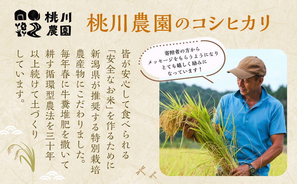 【新米受付・令和8年産米】新潟県村上市桃川産  特別栽培 コシヒカリ 6kg（2kg×3袋）NA4209
