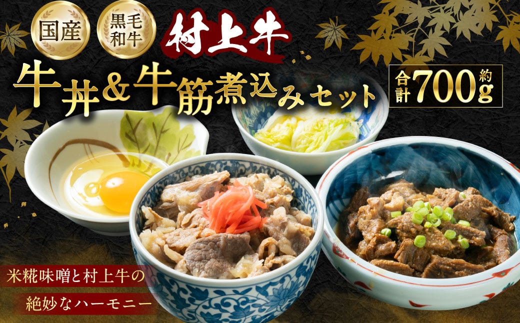 A4141 村上牛 牛丼・牛筋煮込み セット 計700g 牛肉 牛すじ