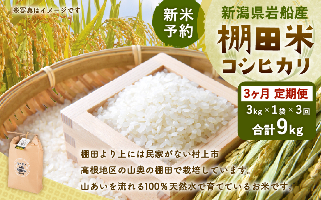 【新米受付・令和8年産米】【定期便：3ヶ月連続でお届け】新潟県村上市岩船産 棚田米コシヒカリ 3kg×3ヶ月　1011009N