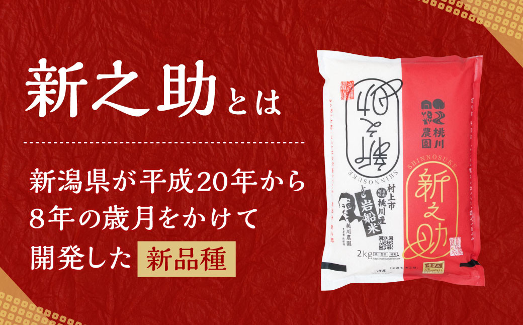 【精米即日発送・令和7年産米】新潟県村上市 岩船産  特別栽培米 新之助 6kg　A4100