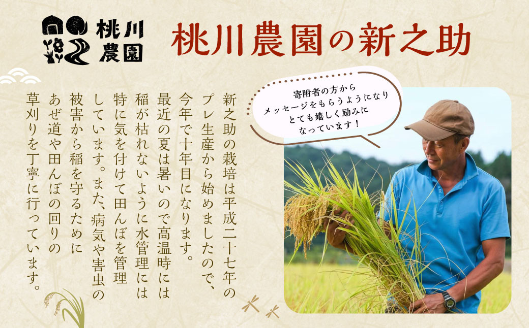 【新米受付・令和6年産米】NA4100 新潟県村上市産 新之助 6kg